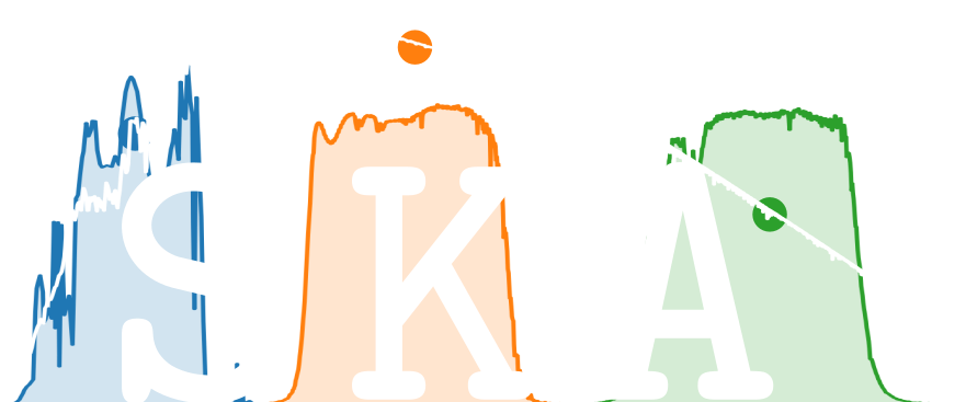 Dark Logo